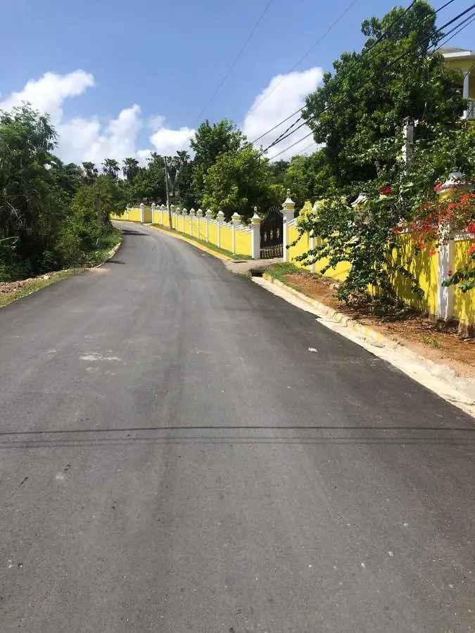 Pura Vida Jamaica 호텔 팰머스 자메이카
