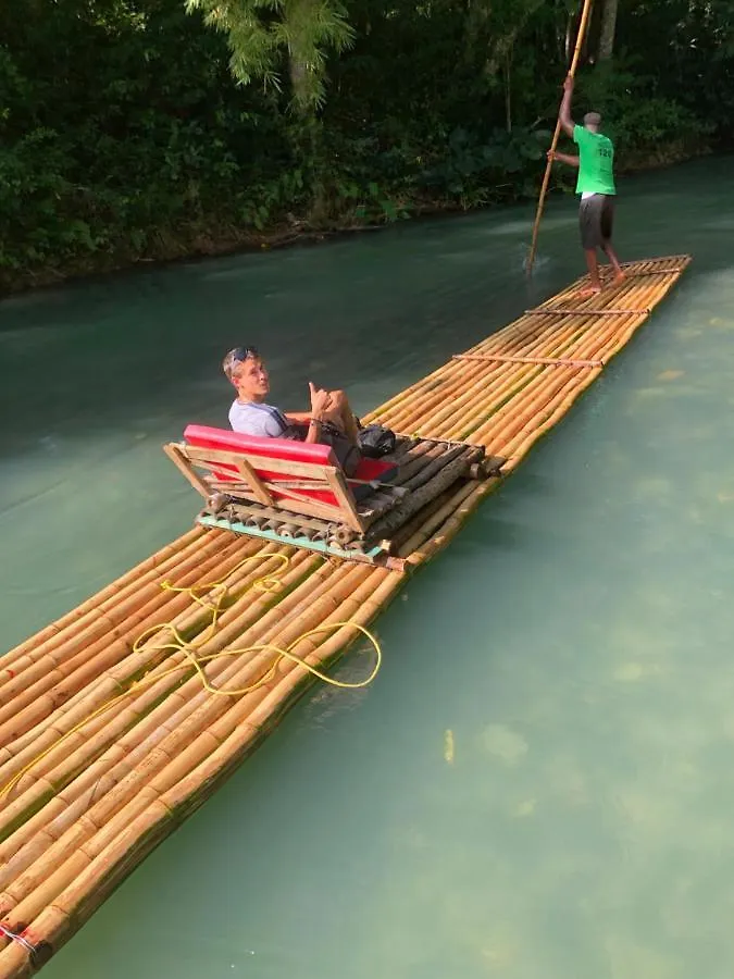 Pura Vida Jamaica 호텔 팰머스