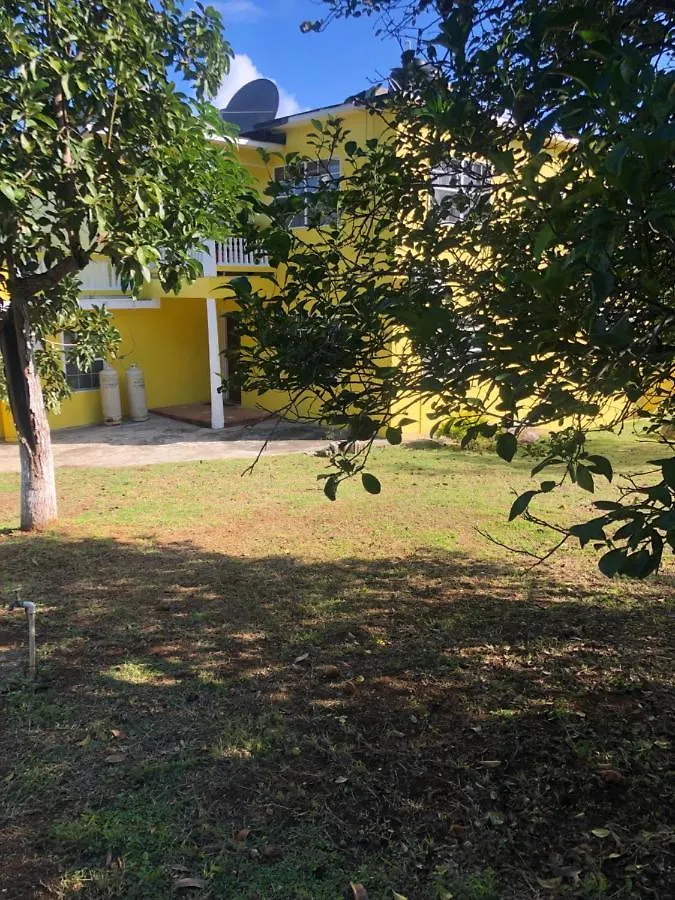 Pura Vida Jamaica 호텔 팰머스 0*,